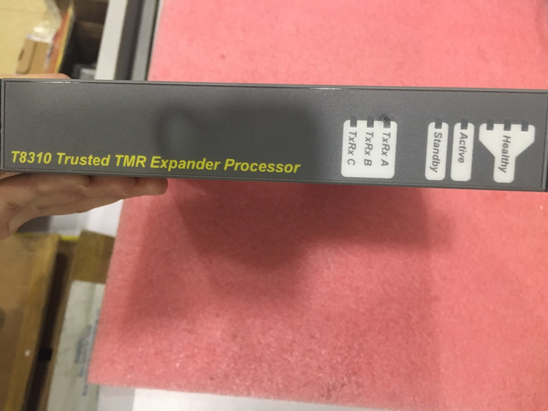 ICS Triplex T8310C ICS Triplex T8310C